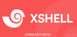 Xshell 6 免费下载是否有广告？？