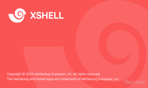Xshell 6 免费下载后怎么设置中文？？